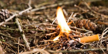 Schon ein Kippenstummel kann derzeit im Wald großen Schaden verursachen.