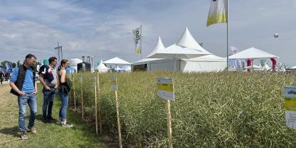 In der Versuchsparzellen werden Unterschiede zwischen den Sorten sichtbar, die man auf dem eigenen Feld kaum erkennt.
