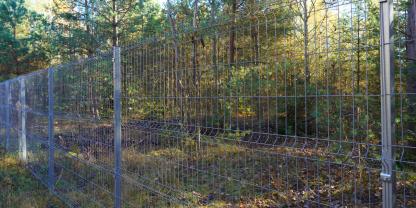 Zaun-im-Wald-AdobeStock_1169526537
