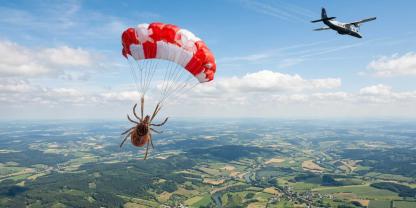 Zecken, die aus Flugzeugen fliegen.