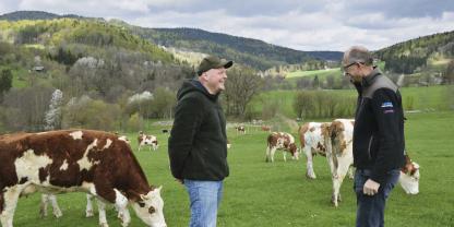  David Raidl und Schulleiter Michael Lobinger bei Kuhherde