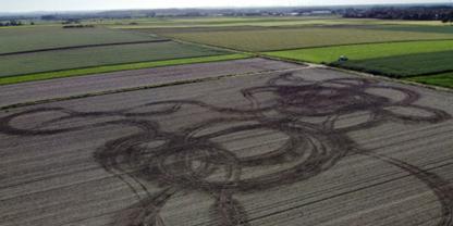 An Pfingsten wurde dieses Maisfeld in Neuenkirchen in NRW schwer beschädigt. Für Landwirte bedeutet dieser Vandalismus einen hohen Schaden.