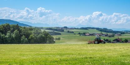 Landwirtschaft in Österreich (Symbolbild): Die Agrarmarkt Austria (AMA) führt am 29. Juni weitere Auszahlungen für flächen- und tierbezogene Fördermaßnahmen durch. Worauf Landwirte achten sollten.