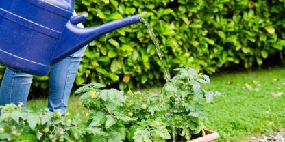 Garten-gießen-AdobeStock_68199398