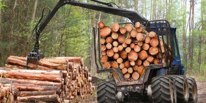 Holzernte-Harvester-AdobeStock_52805353