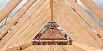 Die langfristige Holznutzung im Bau nutzt fraglos dem Klimaschutz. Aber welche Rolle sollte sie bei der Waldbewirtschaftung spielen?
