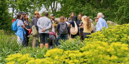 Frederik Rohte (Mitte mit Kappe) im Gespräch bei der Wildbienentour im Botanischen Garten in Berlin.