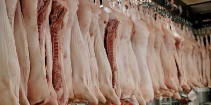 Schweinehälften in einem Schlachthaus