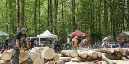 Zeltdorf beim 20. Internationalen Motorsägen-Treffen in Upjever.