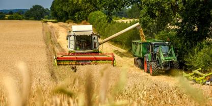 Symbolbild: Durch einen Sabotageakt wurde die Ernte auf dem Betrieb von Gesa Ramme abrupt unterbrochen. Die Landwirtin ist schockiert darüber, wie Menschen so fahrlässig handeln und Metallstanden in den Weizenacker stecken.