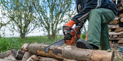 Baum-Fällen-AdobeStock_144972889