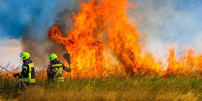 Im Landkreis Spree-Neiße stand ein Feld in Flammen. Während der Löscharbeiten meldeten sich zwei Kinder mit ihren Eltern - und gestanden.