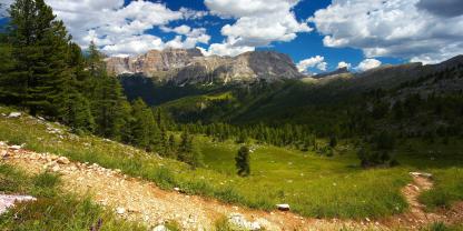 In den Alpen hat es eine wegweisende Entdeckung gegeben.