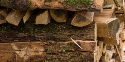 Holzlager-AdobeStock_313883216