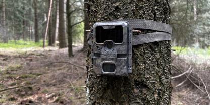 Nordforest-Hunting-Waldwaechter-Wildkamera-quer