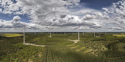 Windkraft im Forst: Zusatzeinnahmen erzielen, Wald weiter nutzen