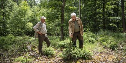 Berwig Hitzer (r.) im Element: Der öffentlich beeidigte Forstsachverständige erstellt unter anderem Gutachten zum Wildverbiss.