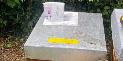 Schnelltests können Imkern helfen, direkt am Bienenstand Krankheiten wie Viren nachzuweisen.