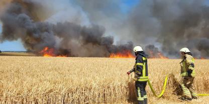 Feuerwehr löscht Flächenbrand auf Getreidefeld