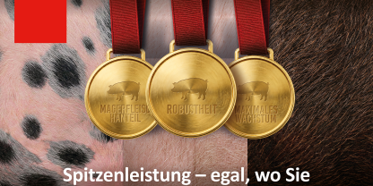 Was hinter einem guten Endstufeneber steckt