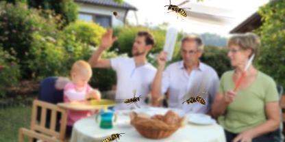 Familie am Gartentisch wird von Wespen attackiert