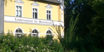 Laenderinstitut-fuer-Bienenkunde-Hohen-Neuendorf