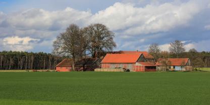 Bauernhof-Westfalen-Felder-AdobeStock_336516238(1)