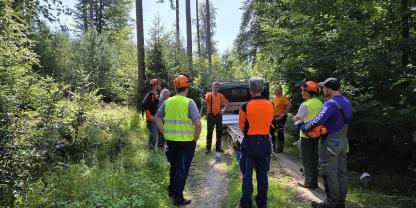 Die Astung ist ein wichtiger Faktor zur Steigerung der Holzqualität - aber nur, wenn die Astung fachgerecht erfolgt. Das nötige Wissen dazu kann man zum Beispiel im Rahmen eines Kurses erlangen, so wie hier an der Waldbauernschule in Kelheim.