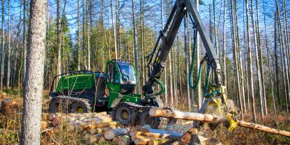 Ein Harvester John Deere 1270G arbeitet Schadholz auf.