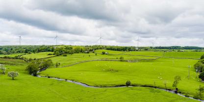 Grüne Felder und Wiesen in England