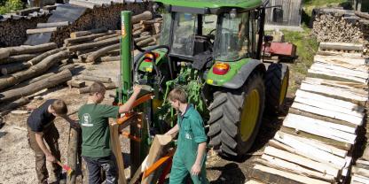 Auch wenn Holz verbrannt wird, ist für die Säe und Möbelindustrie ausreichend Ware vorhanden. Der Markt regelt die Warenströme.