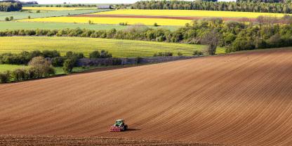 Ackerflächen-Großes-Feld-AdobeStock_446318304