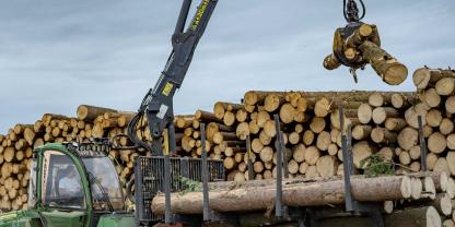 Beim Holzverkauf müssen Waldbauern in der Regel keine Geodaten liefern.