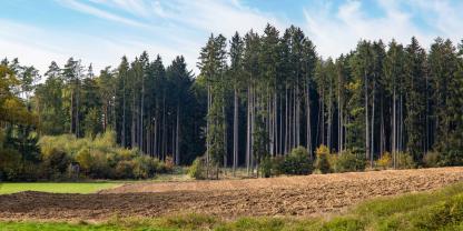 Wald-Acker-Felder-AdobeStock_1039946876