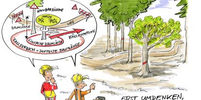 Die Baumbeurteilung vor der Fällung sorgt für Sicherheit bei der Fällung.
