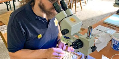 Guillaume Misslin untersucht eine Brutwabe am Mikroskop und prüft, ob das Bienenvolk VSH Merkmale zeigt.