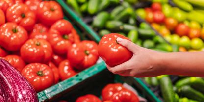 Tomaten aus dem Supermarkt sehen zwar perfekt aus, aber für die Vermehrung eignen sie sich in der Regel nicht.