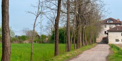 Landwirtschaftsweg-AdobeStock_2102630882