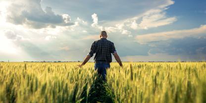 Ein Landwirt steht mit dem Rücken zur Kamera im Getreide.