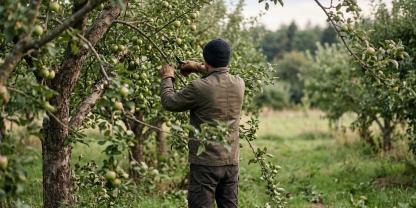 Streuobstwiese-AdobeStock_1959105933