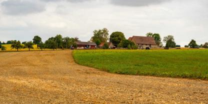 Landwirtschaft-Grundstück-AdobeStock_525561388
