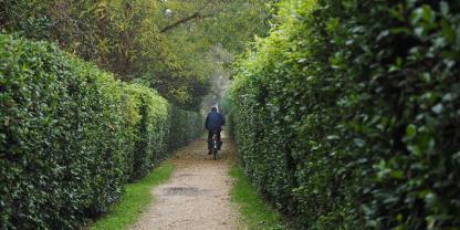 Hecke-Fahrradweg-AdobeStock_181031818