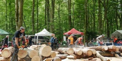 Zeltdorf beim 20. Internationalen Motorsägen-Treffen
