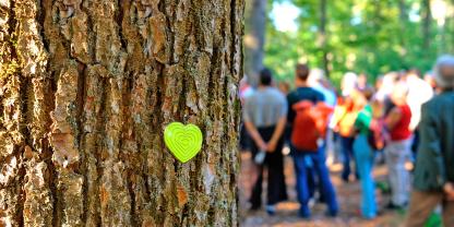 Die Deutschen Waldtage laufen 2026 unter dem Motto: „Wald und Wirtschaft“