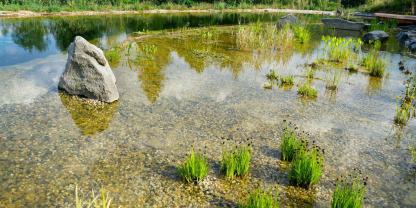 Schwimmteich-AdobeStock_190357194