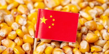 Mais in China
