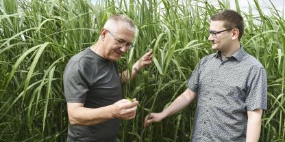 Anton sen. (l.) und Anton jun. Würmser ernteten heuer knapp 250 m3 Elefantengras von1,95 ha.