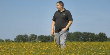 Sascha Hartig schaut, wann der Herbst-Löwenzahn erntereif ist. Um den richtigen Erntetermin zu erkennen, braucht es viel Erfahrung.Foto: Finn