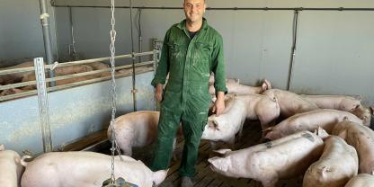 Die Mastschweine erhalten mehr Platz und verschiedene Beschäftigungsmaterialien.