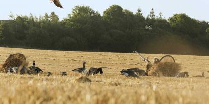 Gans-Jaeger-Schuss
